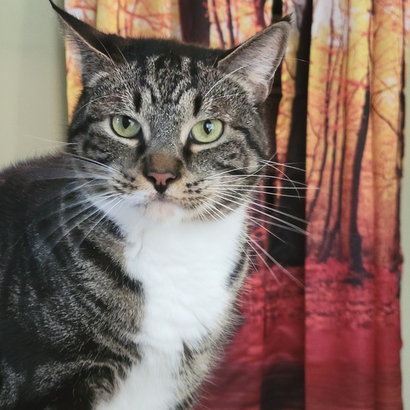 Meet your Posher, Jodi - Picture 1 of 1